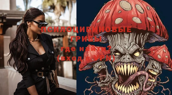 Альфа ПВП Сосновоборск