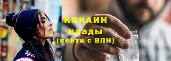 ешки Снежинск