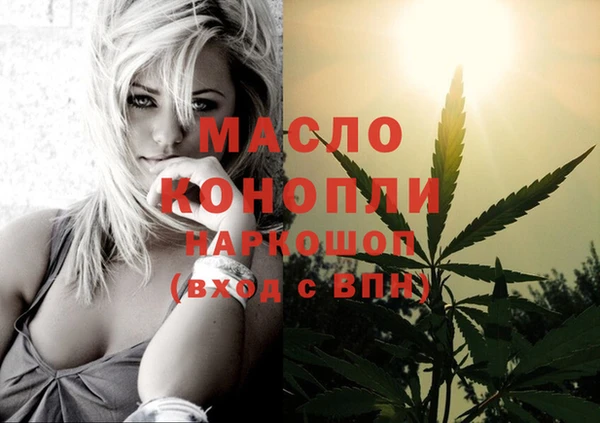 ешки Снежинск