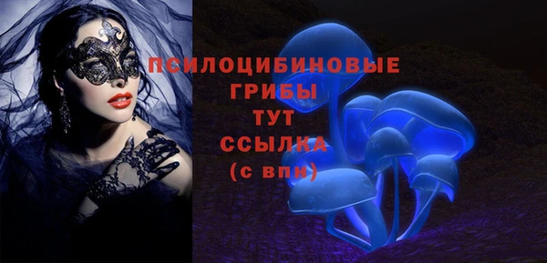 ALPHA PVP Снежногорск